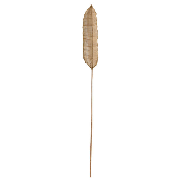 Feuille de bananier décorative