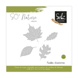 Set de 4 dies feuilles SO'Nature - Sokai