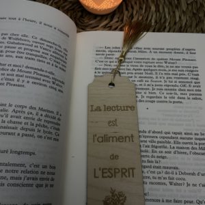 marque-pages en bois ''la lecture est l'aliment de l'esprit''
