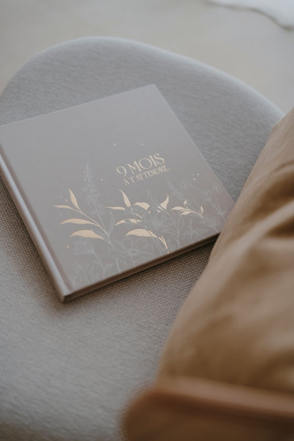Livre ''Journal de grossesse'' - 9 mois à t'attendre