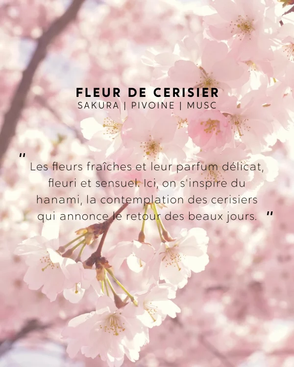 Bougie Fleur de Cerisier avec bracelet surprise – Image 6