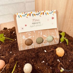 3 Billes à planter Merci pour cette super année