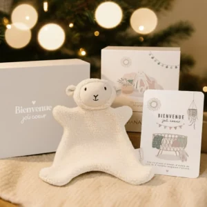 Coffret naissance bébé - Doudou, cartes étapes, carte bienvenue