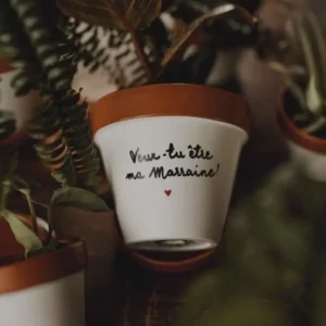 Pot de fleur, cache pot - Veux-tu être ma marraine ?