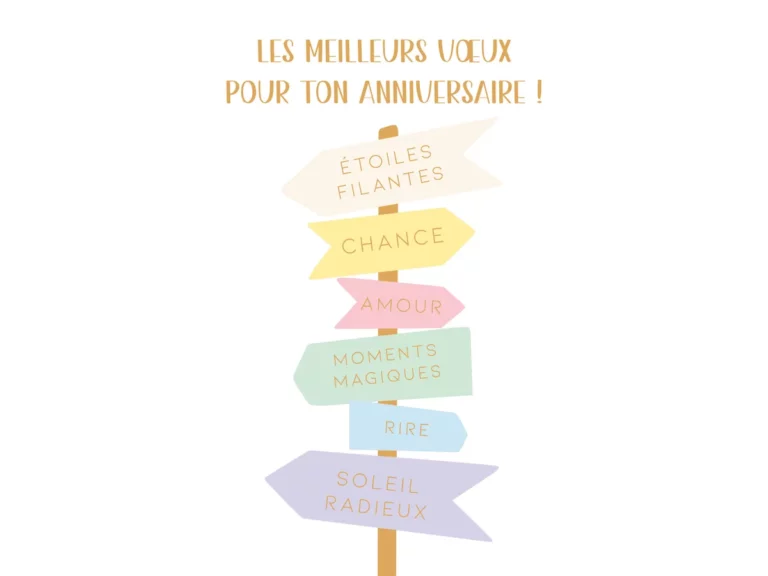 Carte Les meilleurs voeux pour ton anniversaire Panneau directions